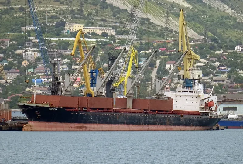 NEW LEGACY Bulk Carrier IMO 9124782 photo 2
