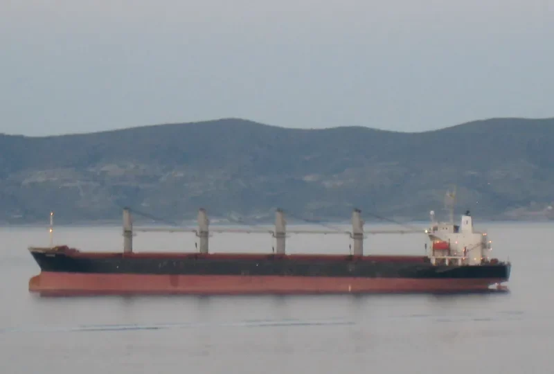NEW LEGACY Bulk Carrier IMO 9124782 photo 4