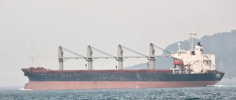NEW LEGACY Bulk Carrier IMO 9124782 photo 5