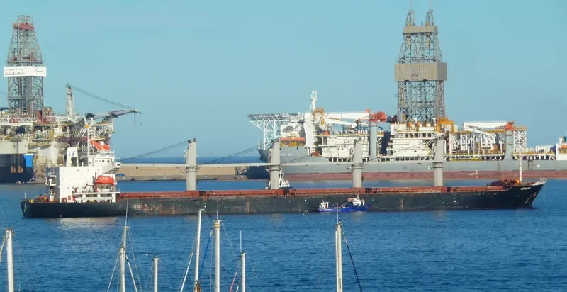 NEW LEGACY Bulk Carrier IMO 9124782 photo 6