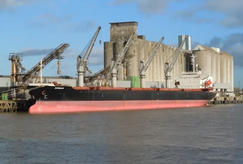 NEW LEGACY Bulk Carrier IMO 9124782 photo 7