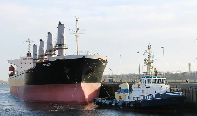 NEW LEGACY Bulk Carrier IMO 9124782 photo 9