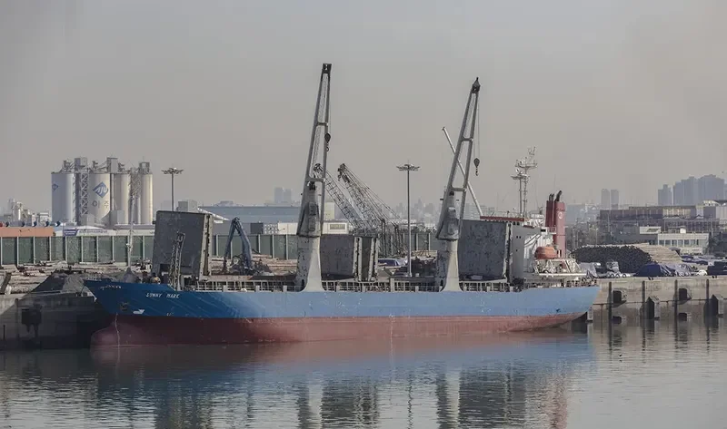 SUNNY MARK General Cargo IMO 9124926 photo 7