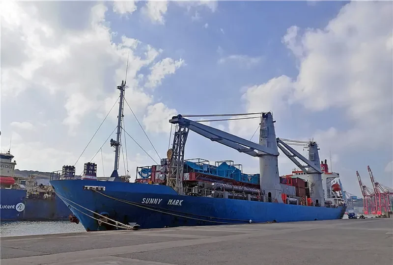 SUNNY MARK General Cargo IMO 9124926 photo 8