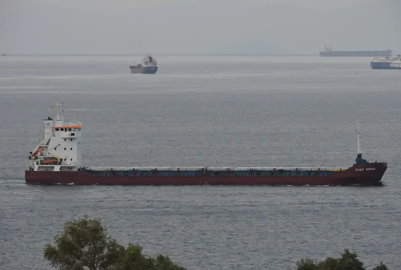 GULF ANGEL General Cargo IMO 9125059