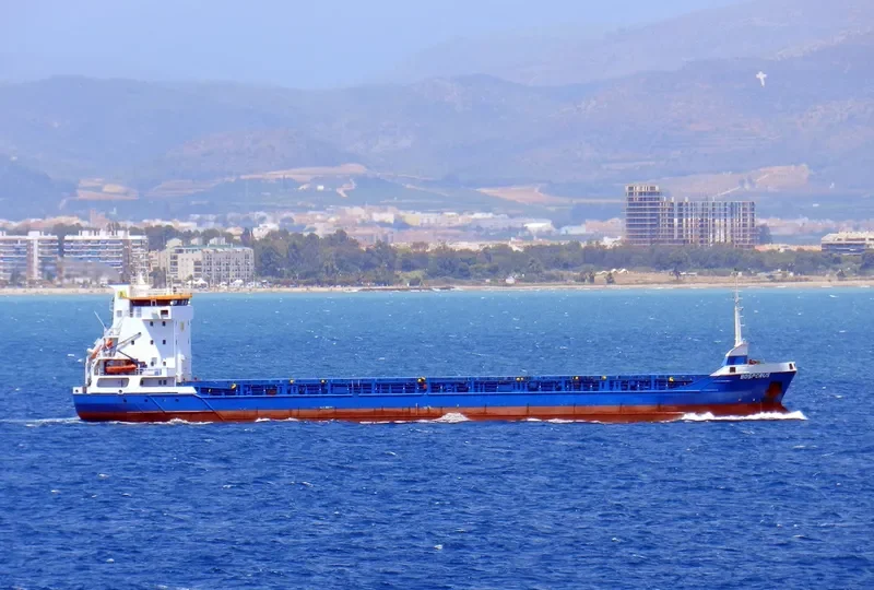 BOSPORUS General Cargo IMO 9125061 photo 2