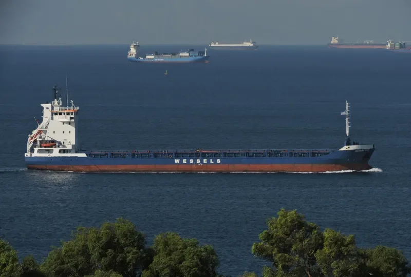 LILY B General Cargo IMO 9125097 photo 3