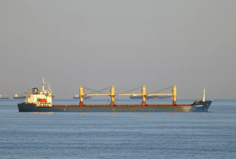 PRINCE HADI Bulk Carrier IMO 9125217