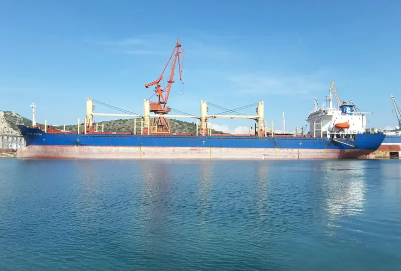 PRINCE HADI Bulk Carrier IMO 9125217 photo 3