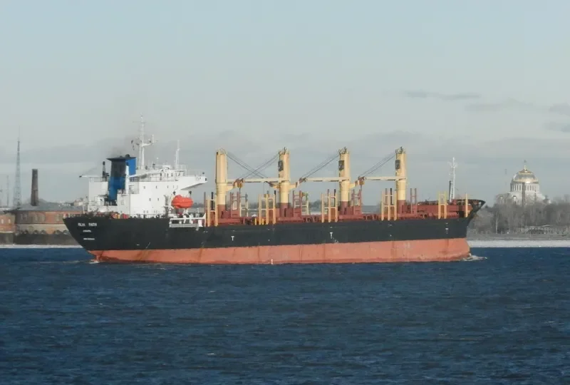 PRINCE HADI Bulk Carrier IMO 9125217 photo 10