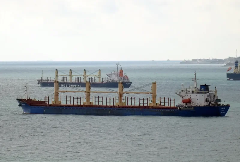 PRINCE FAROUK Bulk Carrier IMO 9125229