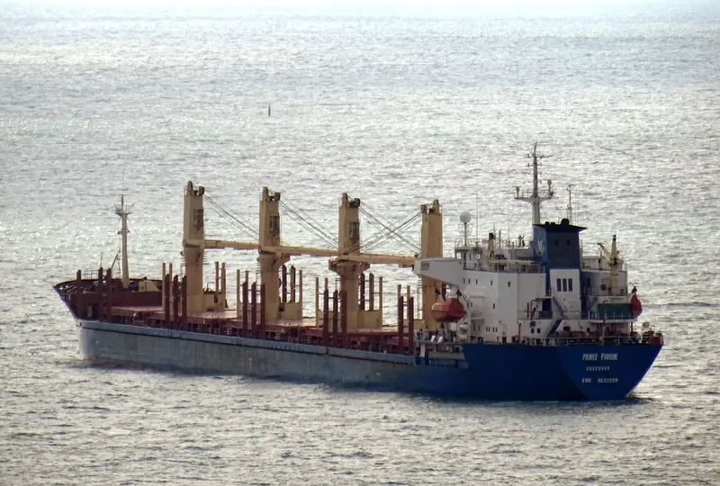 PRINCE FAROUK Bulk Carrier IMO 9125229 photo 2