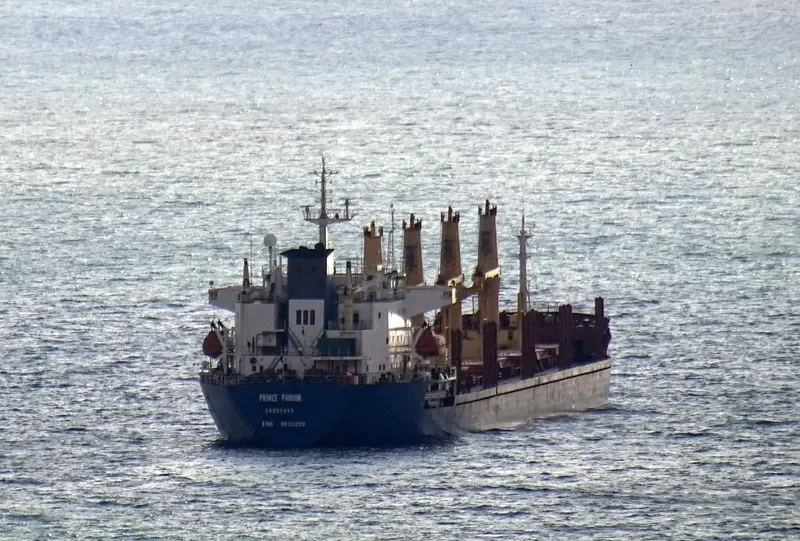 PRINCE FAROUK Bulk Carrier IMO 9125229 photo 3