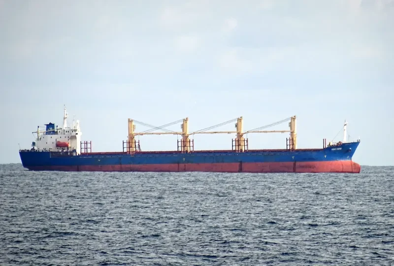PRINCE FAROUK Bulk Carrier IMO 9125229 photo 4