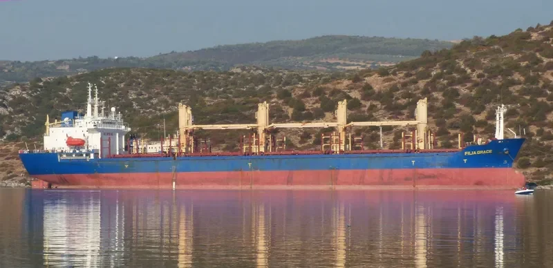 PRINCE FAROUK Bulk Carrier IMO 9125229 photo 6