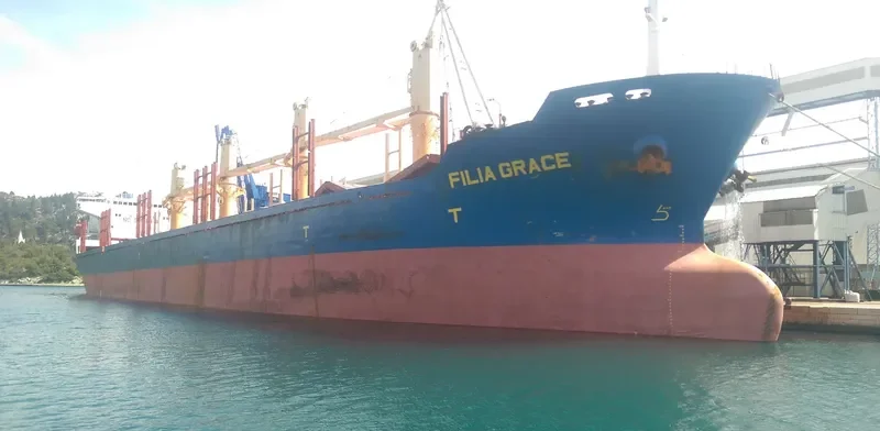 PRINCE FAROUK Bulk Carrier IMO 9125229 photo 7