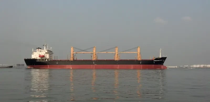 PRINCE FAROUK Bulk Carrier IMO 9125229 photo 8