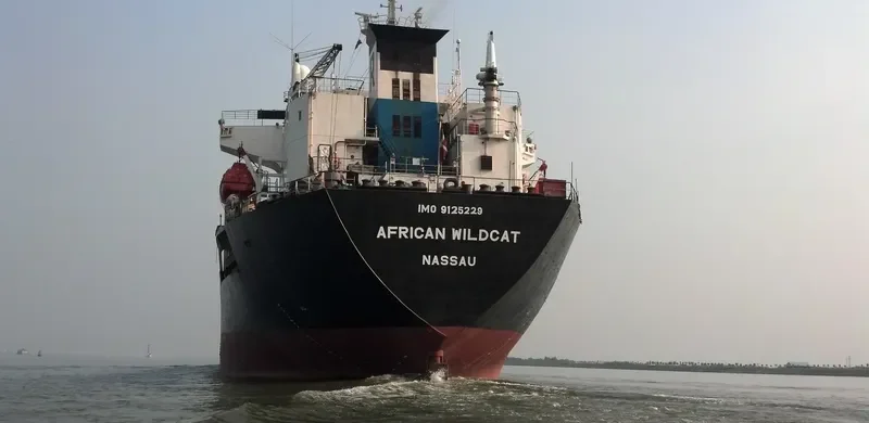 PRINCE FAROUK Bulk Carrier IMO 9125229 photo 9
