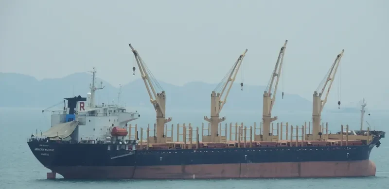 PRINCE FAROUK Bulk Carrier IMO 9125229 photo 10