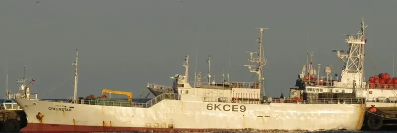 GREENSTAR General Cargo IMO 9125334 photo 3