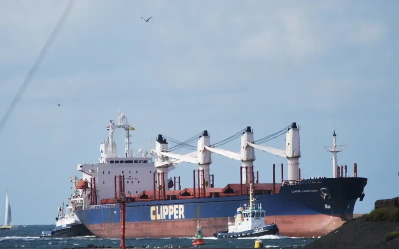 CHARLENE Bulk Carrier IMO 9125360 photo 3