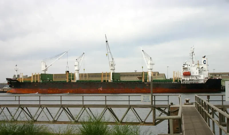 CHARLENE Bulk Carrier IMO 9125360 photo 4