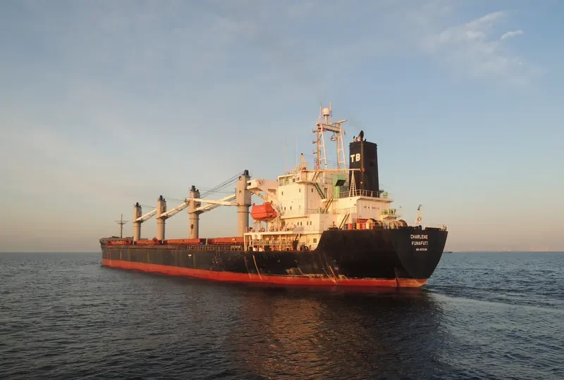 CHARLENE Bulk Carrier IMO 9125360 photo 5