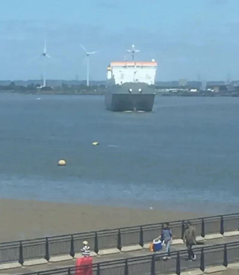 CELESTINE Ro-Ro IMO 9125372 photo 7