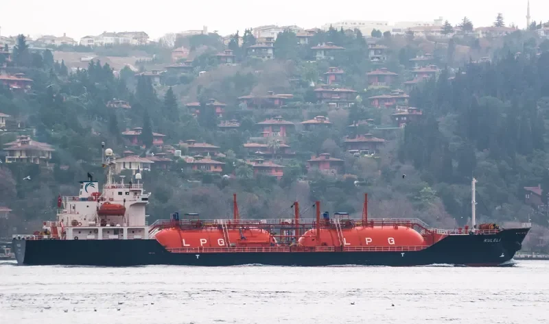 SCHUMI 3 General Cargo IMO 9125413 photo 4