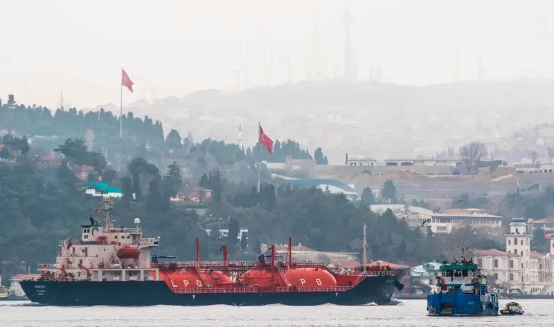 SCHUMI 3 General Cargo IMO 9125413 photo 5