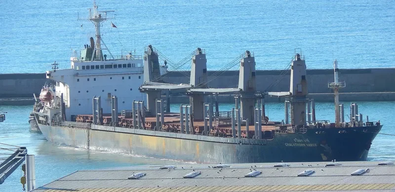 CHALOTHORN NAREE Bulk Carrier IMO 9125449 photo 2