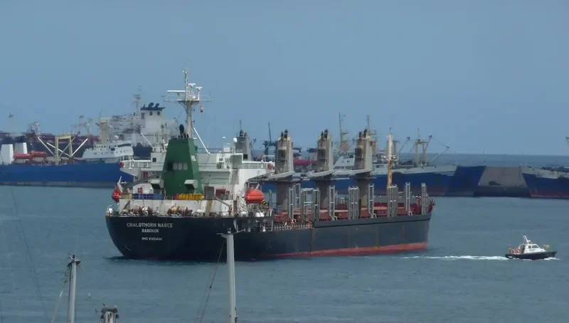 CHALOTHORN NAREE Bulk Carrier IMO 9125449 photo 3