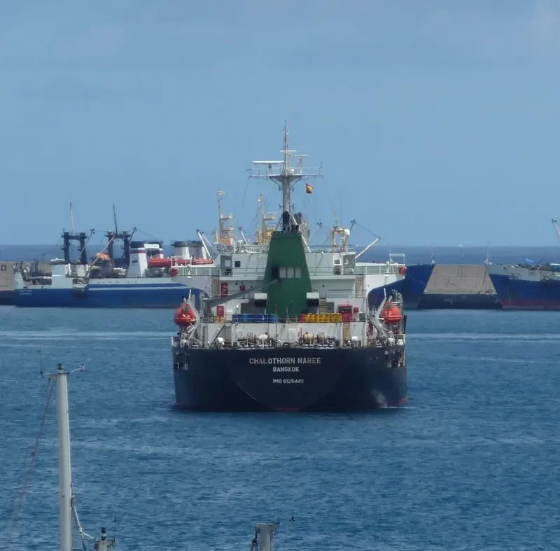 CHALOTHORN NAREE Bulk Carrier IMO 9125449 photo 4