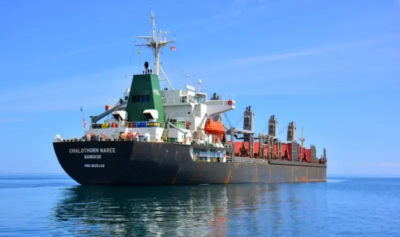 CHALOTHORN NAREE Bulk Carrier IMO 9125449 photo 8