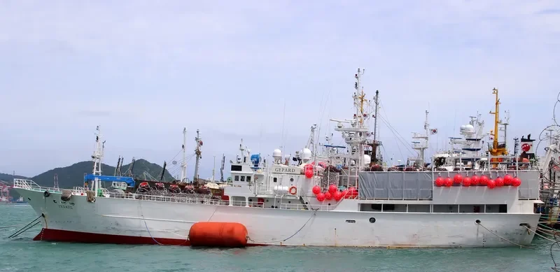 GEPARD General Cargo IMO 9125528 photo 3