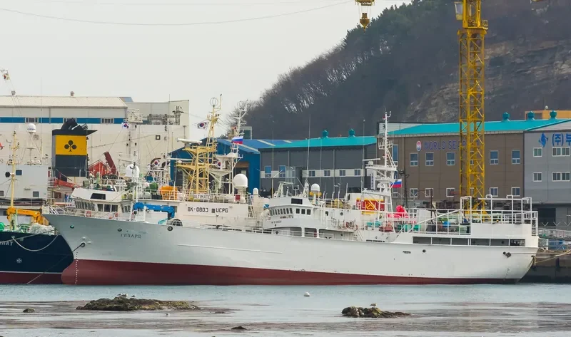 GEPARD General Cargo IMO 9125528 photo 6