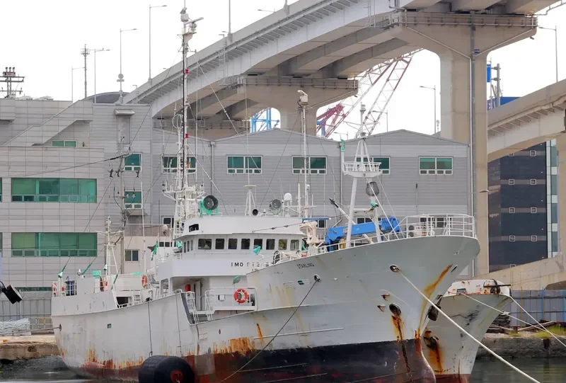 GEPARD General Cargo IMO 9125528 photo 7
