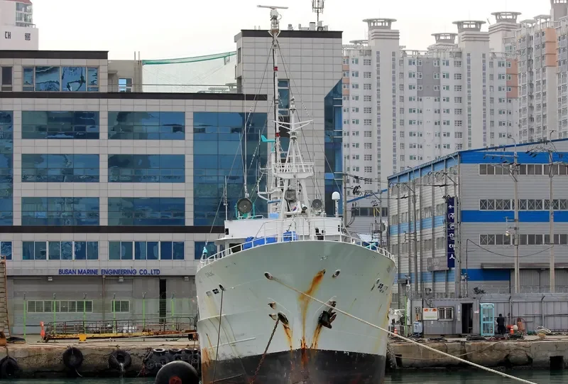 GEPARD General Cargo IMO 9125528 photo 9