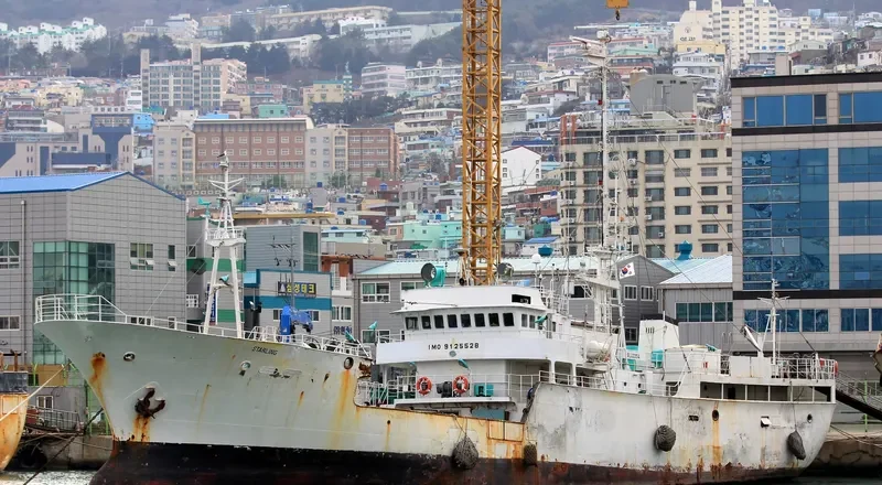 GEPARD General Cargo IMO 9125528 photo 10