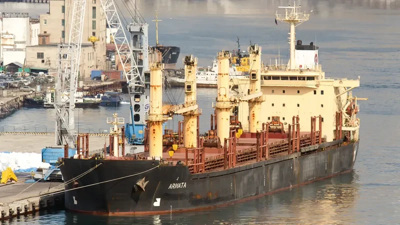 FAR HONEST Bulk Carrier IMO 9125542 photo 3