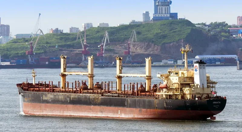 FAR HONEST Bulk Carrier IMO 9125542 photo 8