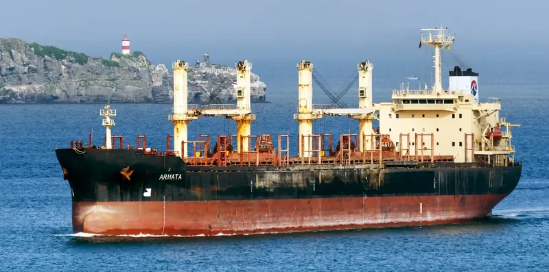 FAR HONEST Bulk Carrier IMO 9125542 photo 9