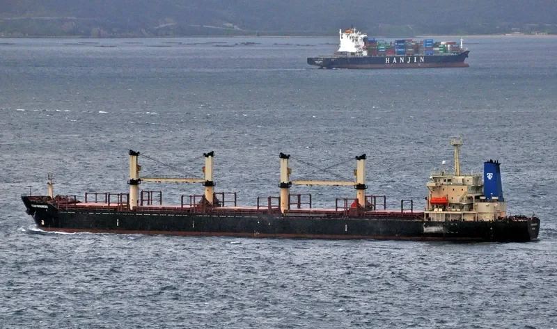 TRUE FRIEND Bulk Carrier IMO 9125566 photo 2