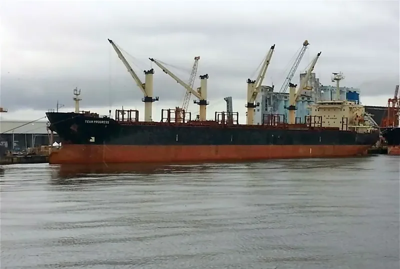 TRUE FRIEND Bulk Carrier IMO 9125566 photo 3