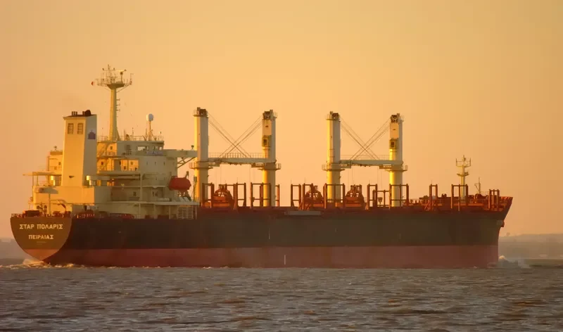 TRUE FRIEND Bulk Carrier IMO 9125566 photo 8