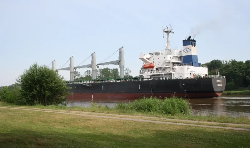 COSTAS Bulk Carrier IMO 9125580 photo 3