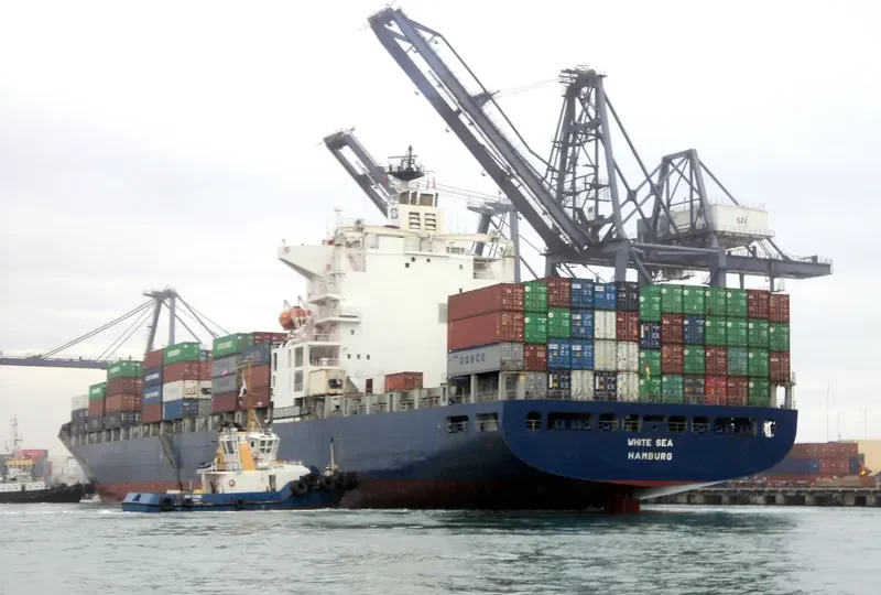 SEAL Container Ship IMO 9125592 photo 2
