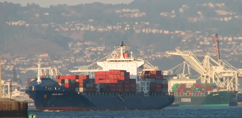 SEAL Container Ship IMO 9125592 photo 4