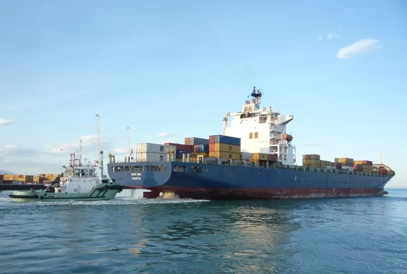 SEAL Container Ship IMO 9125592 photo 6