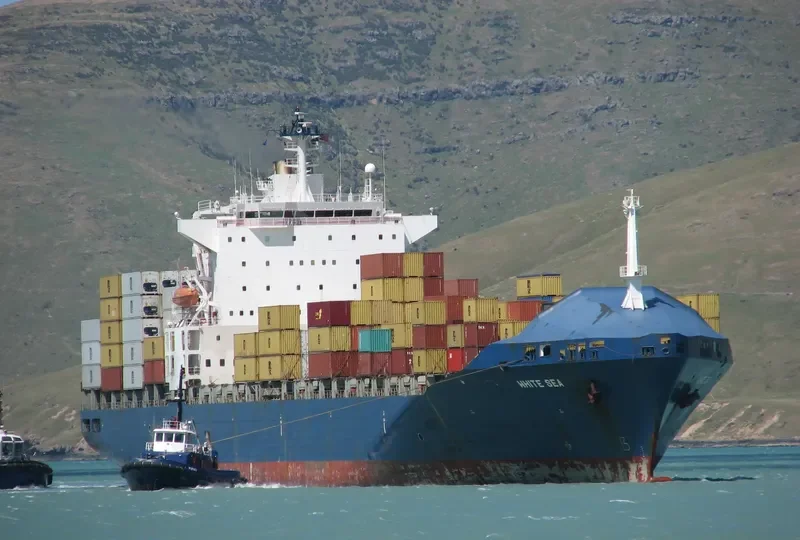 SEAL Container Ship IMO 9125592 photo 9